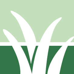 Strive Lawn Mowing Service