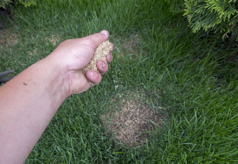 Yard Overseeding in Honolulu, HI
