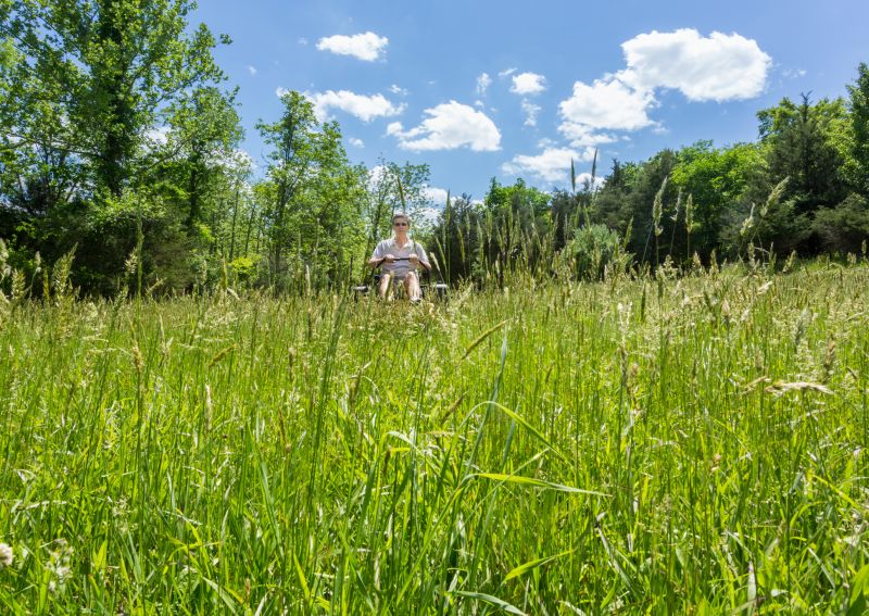 Lawn Size Impact