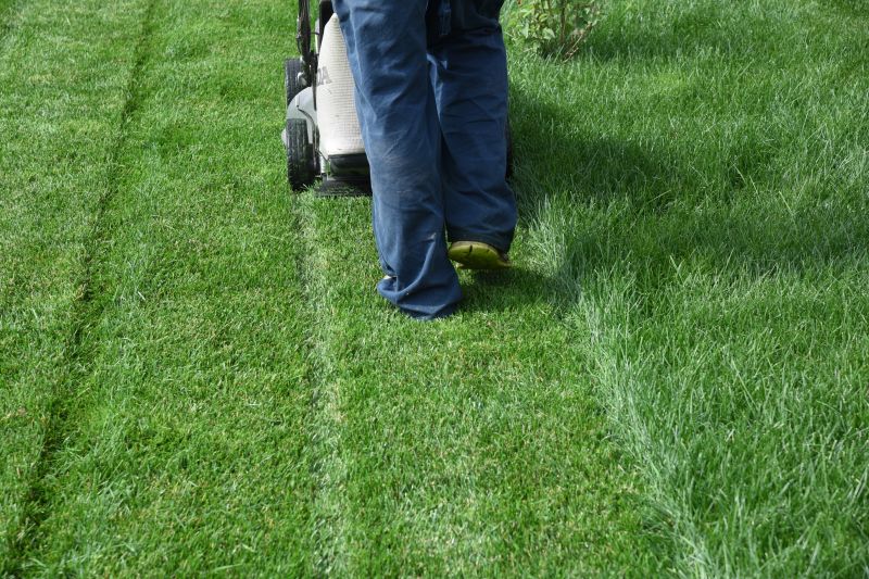 Lawn Mowing Service