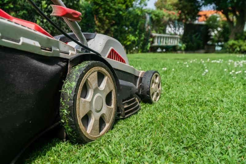 Brush Mowing Service in Waldorf, MD