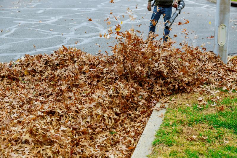 Leaf Removal Service