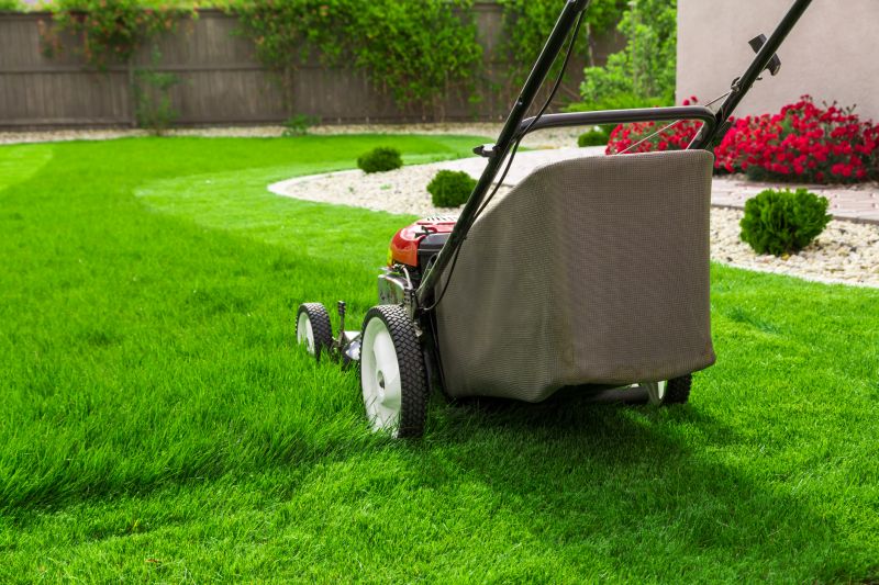 Summer Lawn Mowing