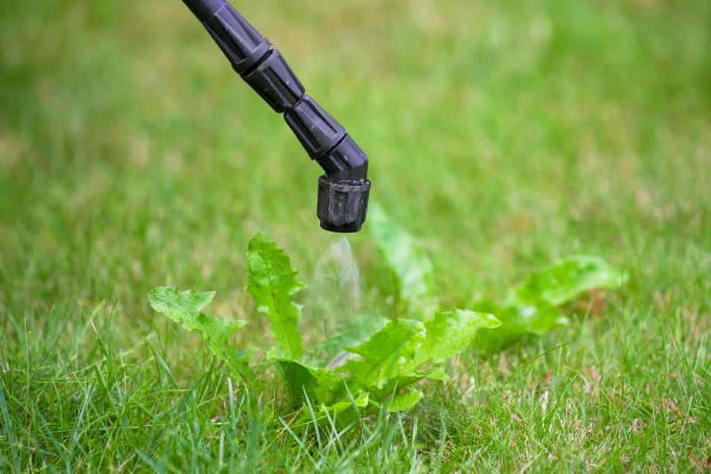 Lawn Weed Spraying in Aiken, SC