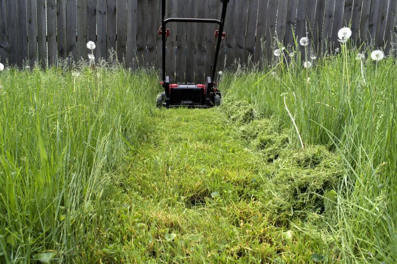 Meadow Mowing in Calvert County, MD