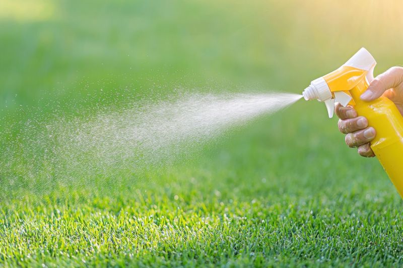 Pampas Grass Control in Ventura County, CA