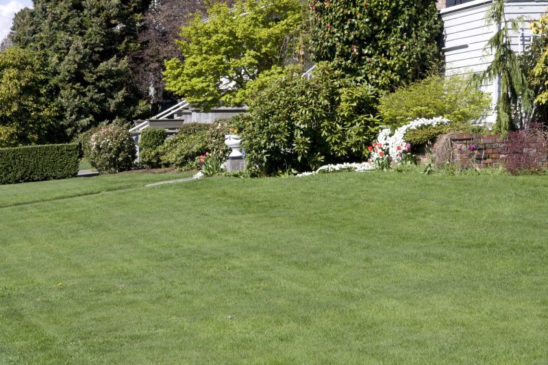 Spring Lawn Care in Bowie, MD