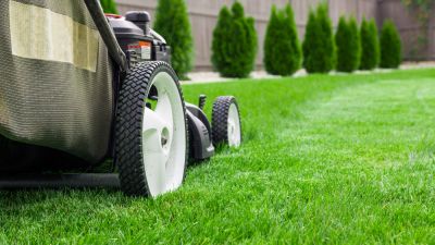 Keep Your Lawn Maintained!