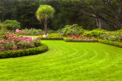 Promote a Healthy Lawn!