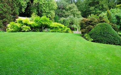 Reduce Weeds and Pests!